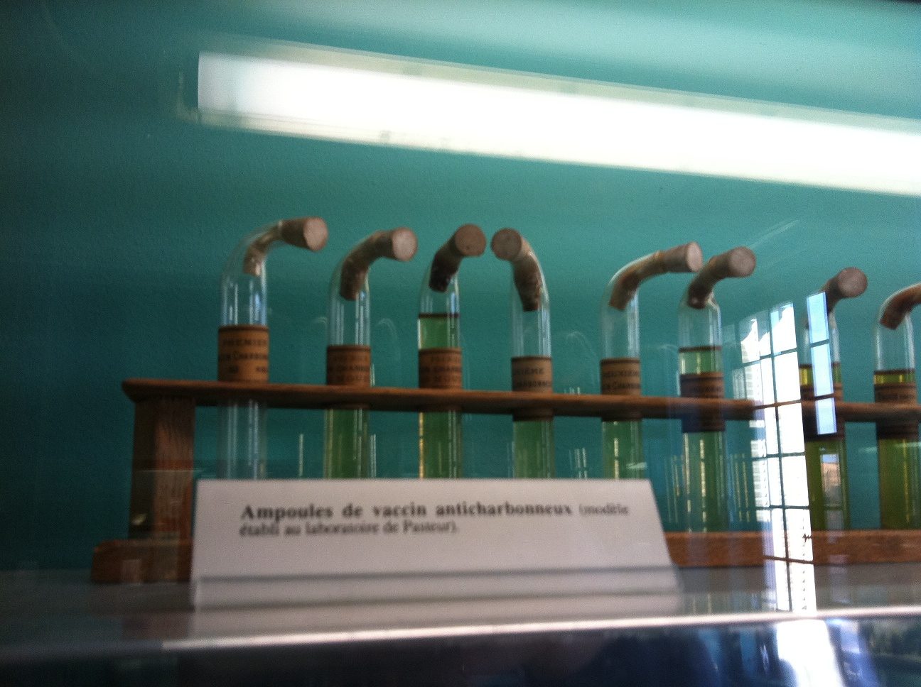 Pasteur's home-museum, Institut Pasteur, Paris by Rosa Longo (7).JPG